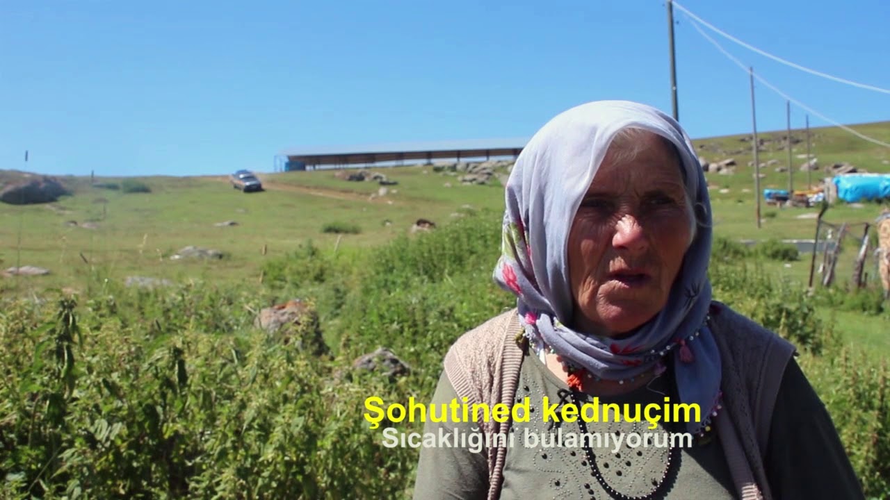 Başka Hikaye: Momi