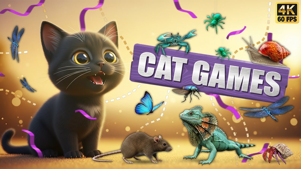 CAT GAMES 🐾3D Game for Cats | Video for Cats  – Ultimate CAT TV #68😻 4K60FPS