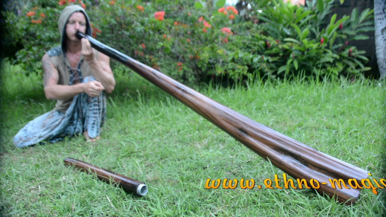 Buy Didgeridoo Online