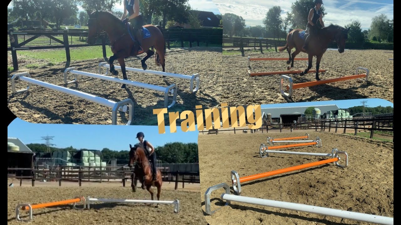 Cavaletti training & oefeningen! Inclusief tips | Hindernissen Centrale | ✰vlog 149 ✰