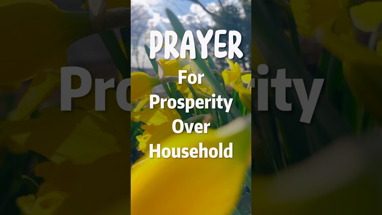 Prayer for Prosperity Over Household-financial breakthrough, abundance, and stability #prayer #faith