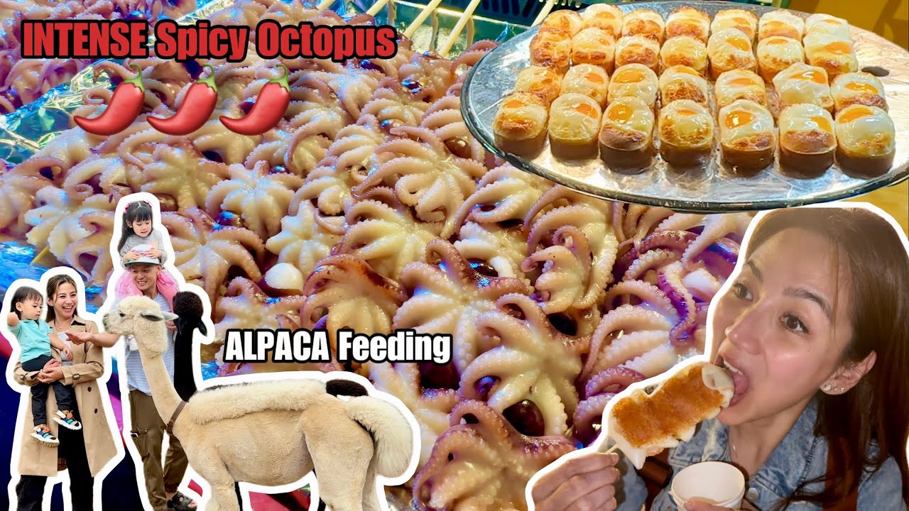 CHEAPEST Street Food in Korea na wala sa Manila, Philippines | Grilled Octopus, Cow Cheese, EggBread