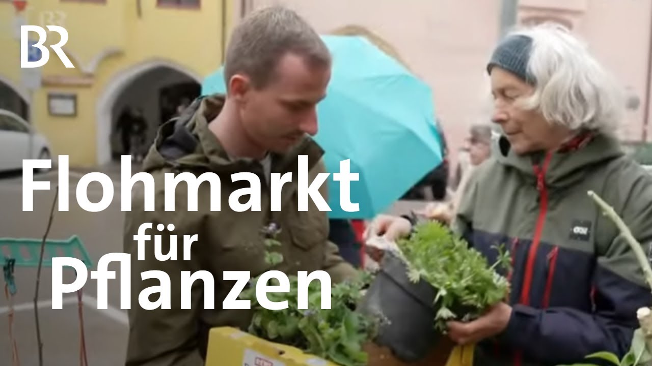 Für ökologische Vielfalt - Raritäten finden auf dem Pflanzerlmarkt | Schwaben + Altbayern | BR