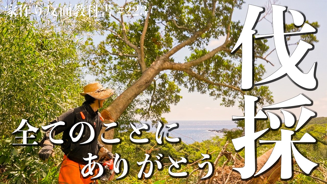 【台風後】雨漏り補修、竹林伐採、助っ人の優しさに救われた日。#223
