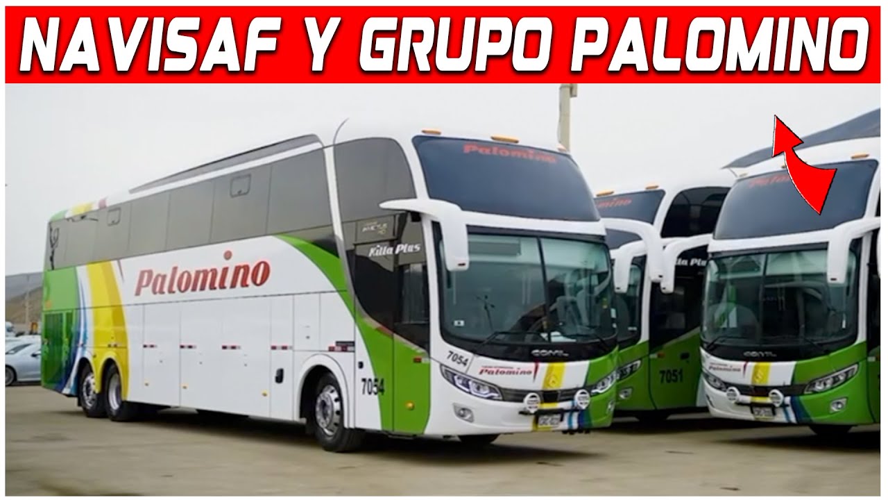 Telemetría e IA de NAVISAF impulsan la operación del 'Grupo Palomino' y Team Palomino Motorsport