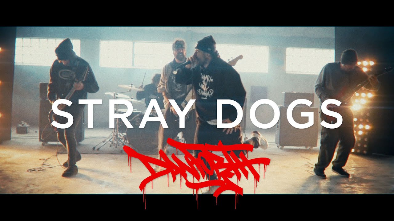 STRAY DOGS (Official Music Video)