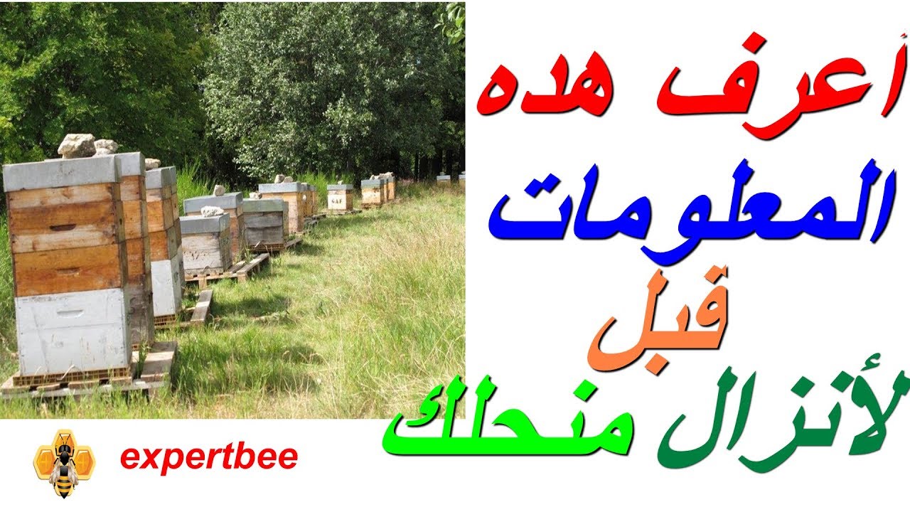 تعرف على مميزات المكان قبل انزال منحلك