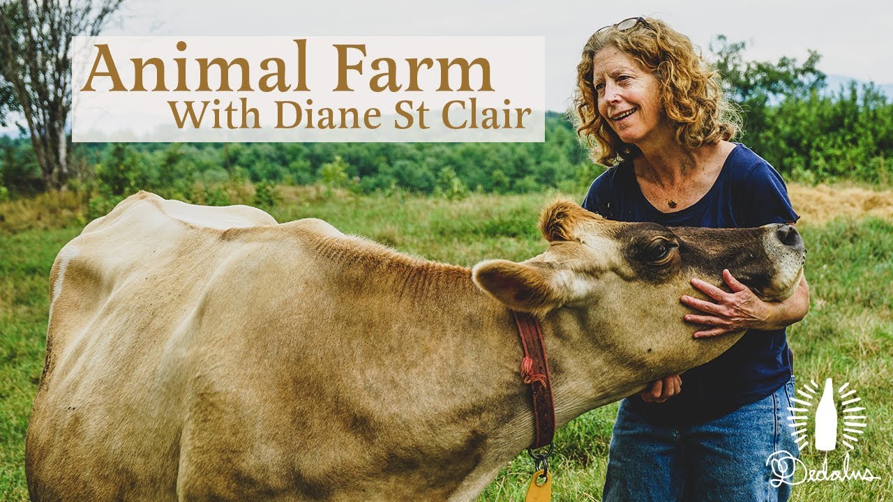 Animal Farm Butter: The Best Butter in the US
