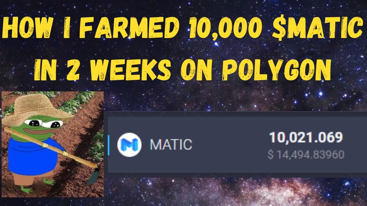 Как я нафармил 10 000 $MATIC за 2 недели на Polygon/Matic
