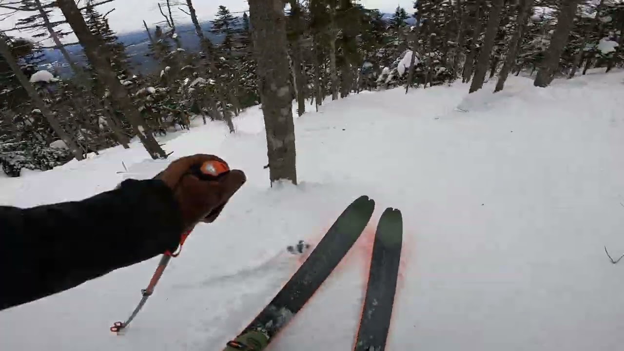 Cannon Mountain - Animal Glade 2/23
