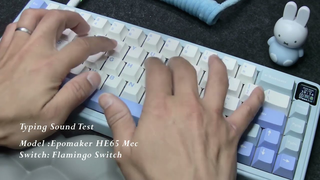 Typing Sound Test │ EPOMAKER HE65 Mec /  Epomaker Flamingo Switch │ #ASMR