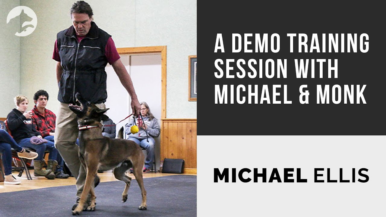 Демонстрационный обучающий сеанс с Майклом Эллисом и Монком
