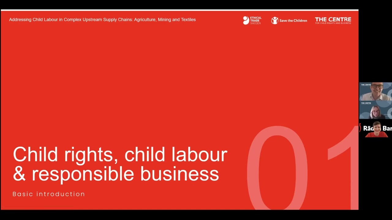 Addressing Child Labour in Complex Upstream Supply Chains: Agriculture, Mining and Textiles