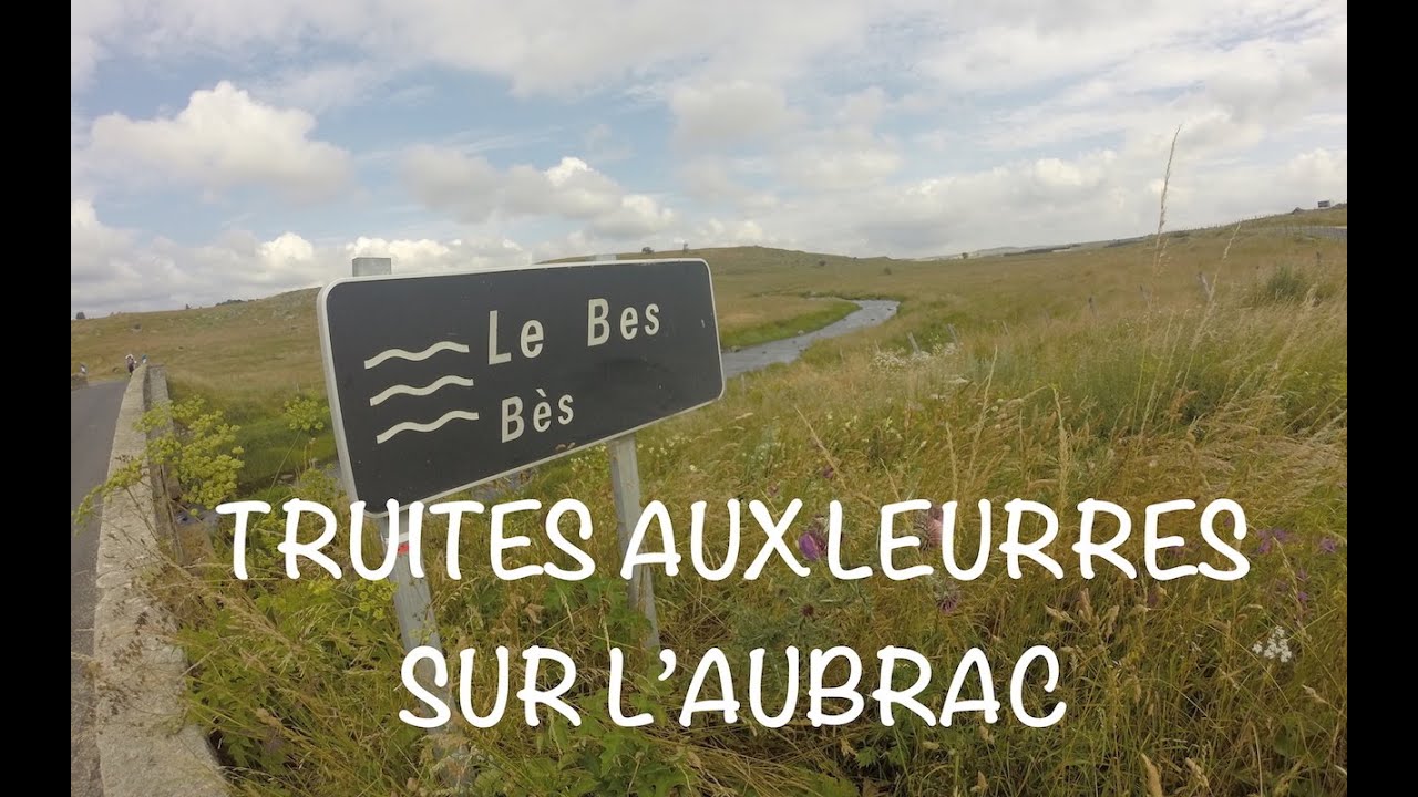 A la recherche des zébrées d'Aubrac - Truites aux leurres #11 (2016)