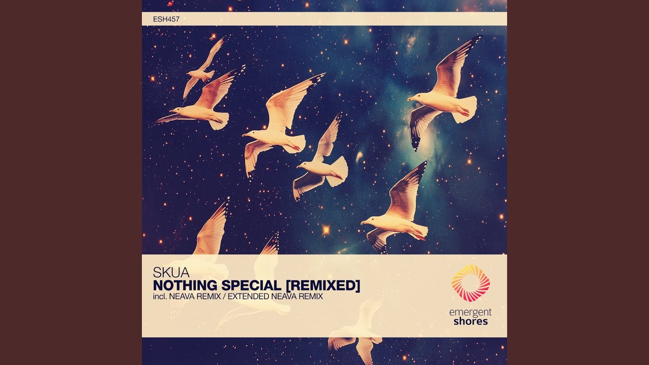 Nothing Special (Neava Remix)