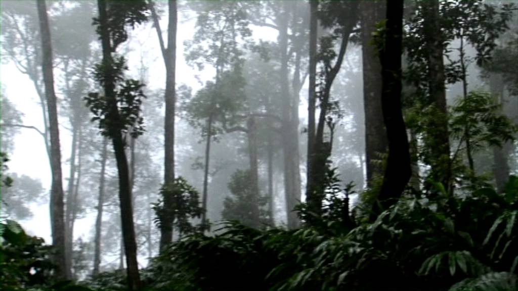 CARDAMOM ESTATE,RESORT WITH ECO TOURISM FOR SALE CHEAP RATE