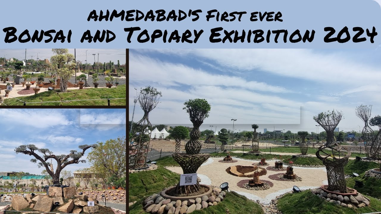 Bonsai Show Ahmedabad | Vlog | Bonsai and Topiary Exhibition 2024 | Timings | Ticket Price| Location