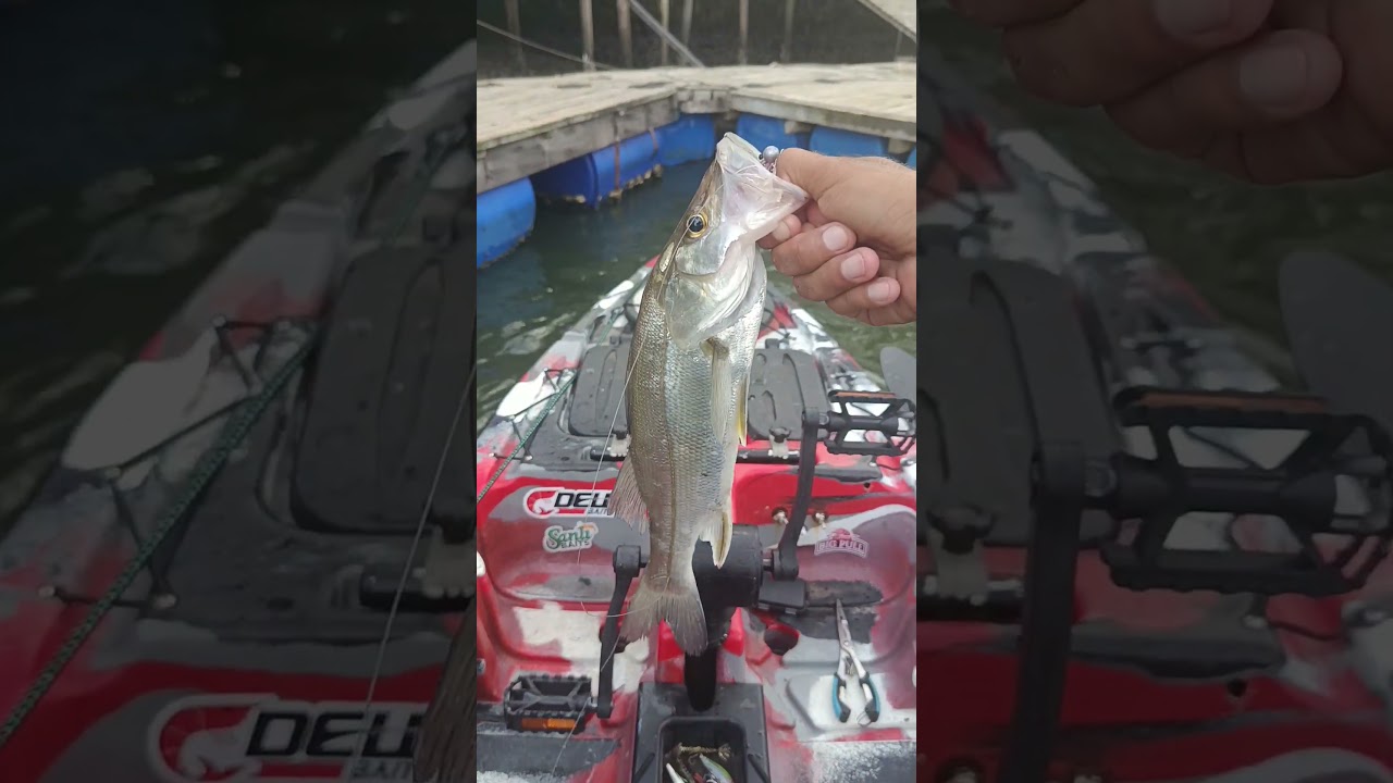 pesca 