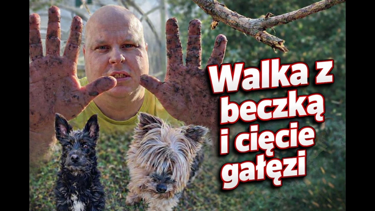 Wiosna przyszła! Cięcie żywopłotu i siłowanie się z lodem 🧊