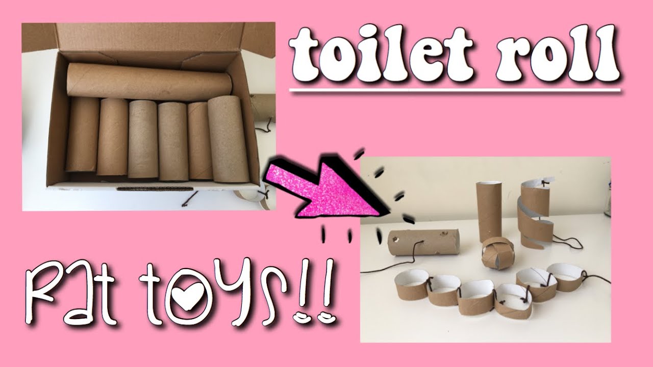 diy toilet roll rat toys♡