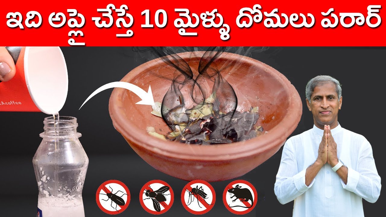 Mosquito Killer Homemade ! | Best Mosquito Killer Spray | Dr Manthena Satyanarayana Raju Videos