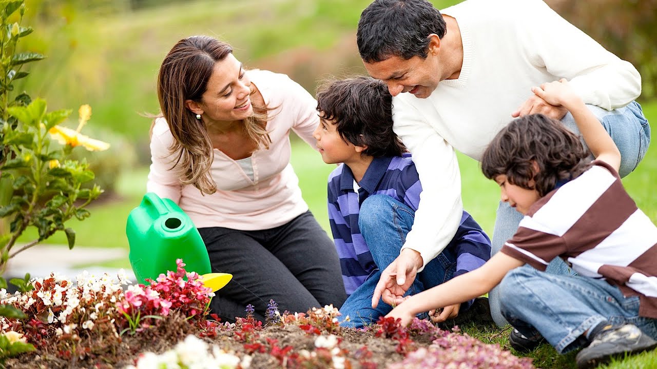 Benefits of Planting a Tree | Green Living