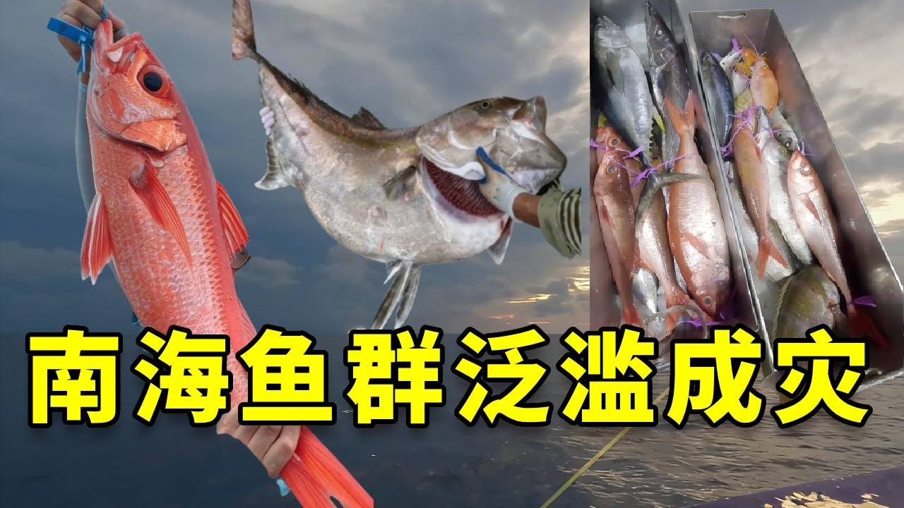 听钓友说最近南海鱼情泛滥，我带女友包船出海，没想到刚钓一条就回本了 #大豪夫妇 #fishing #大魚