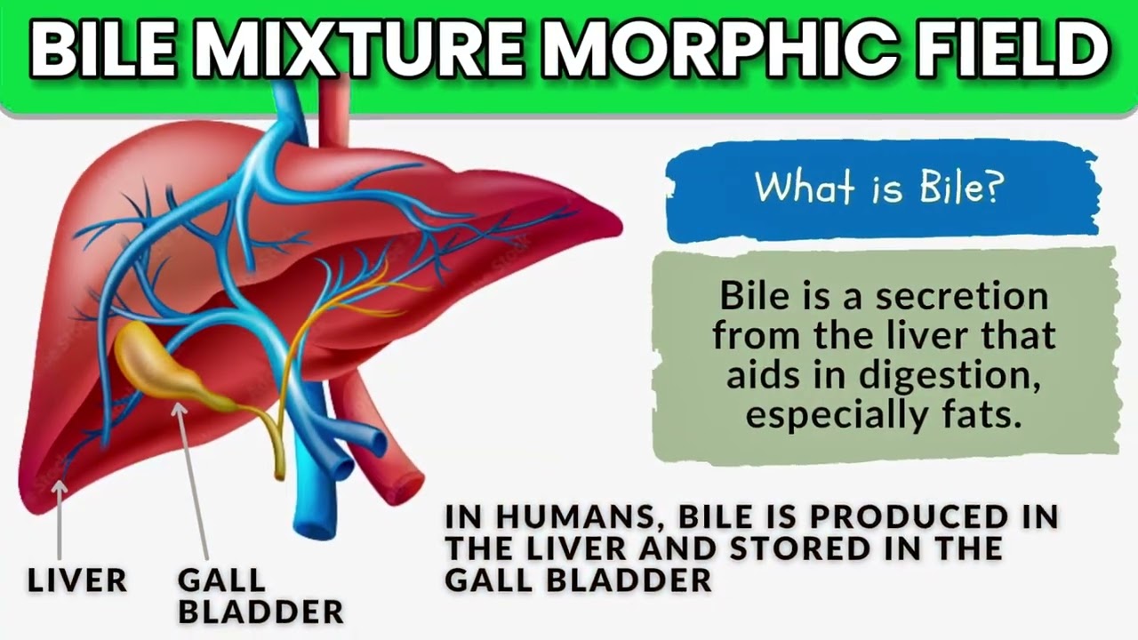 Bile Mixture Morphic Field - Cure All Diseases & Infections Of Bile & Bile Duct