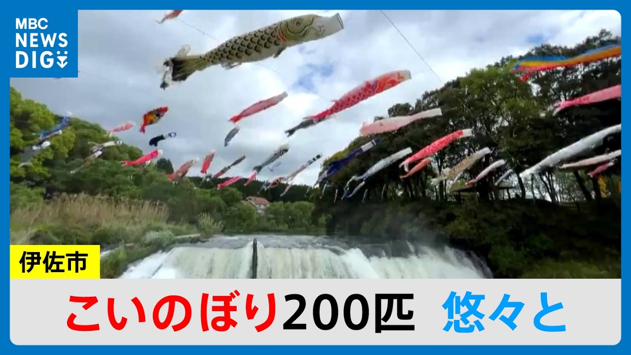 空を悠々と　伊佐市湯之尾滝に200匹のこいのぼり　鹿児島（MBCごごナウ 2026年4月15日放送）