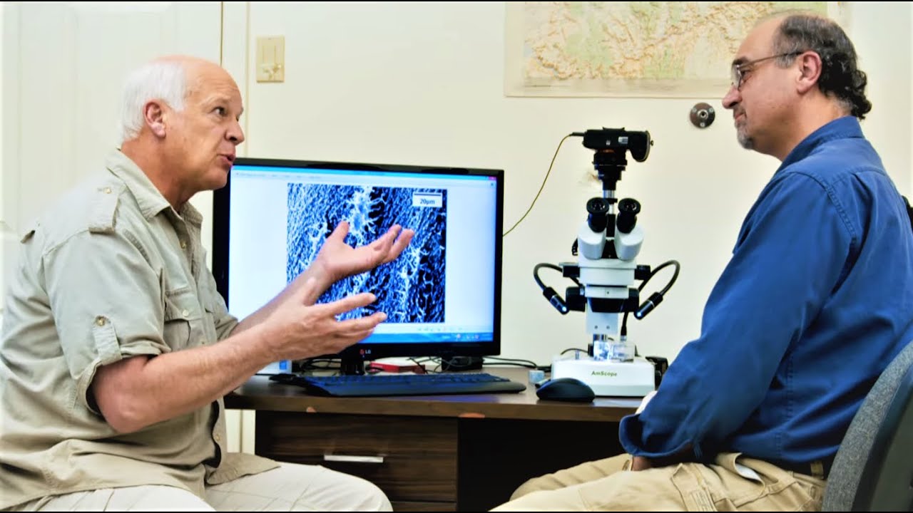 Are Mutations really the Driving Force behind Darwinian Evolution? - Dr. Kevin Anderson