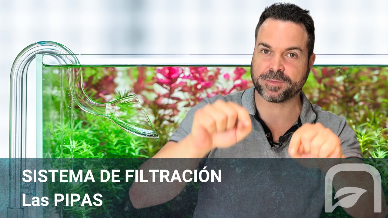 Sistema de FILTRACIÓN | Las PIPAS ►