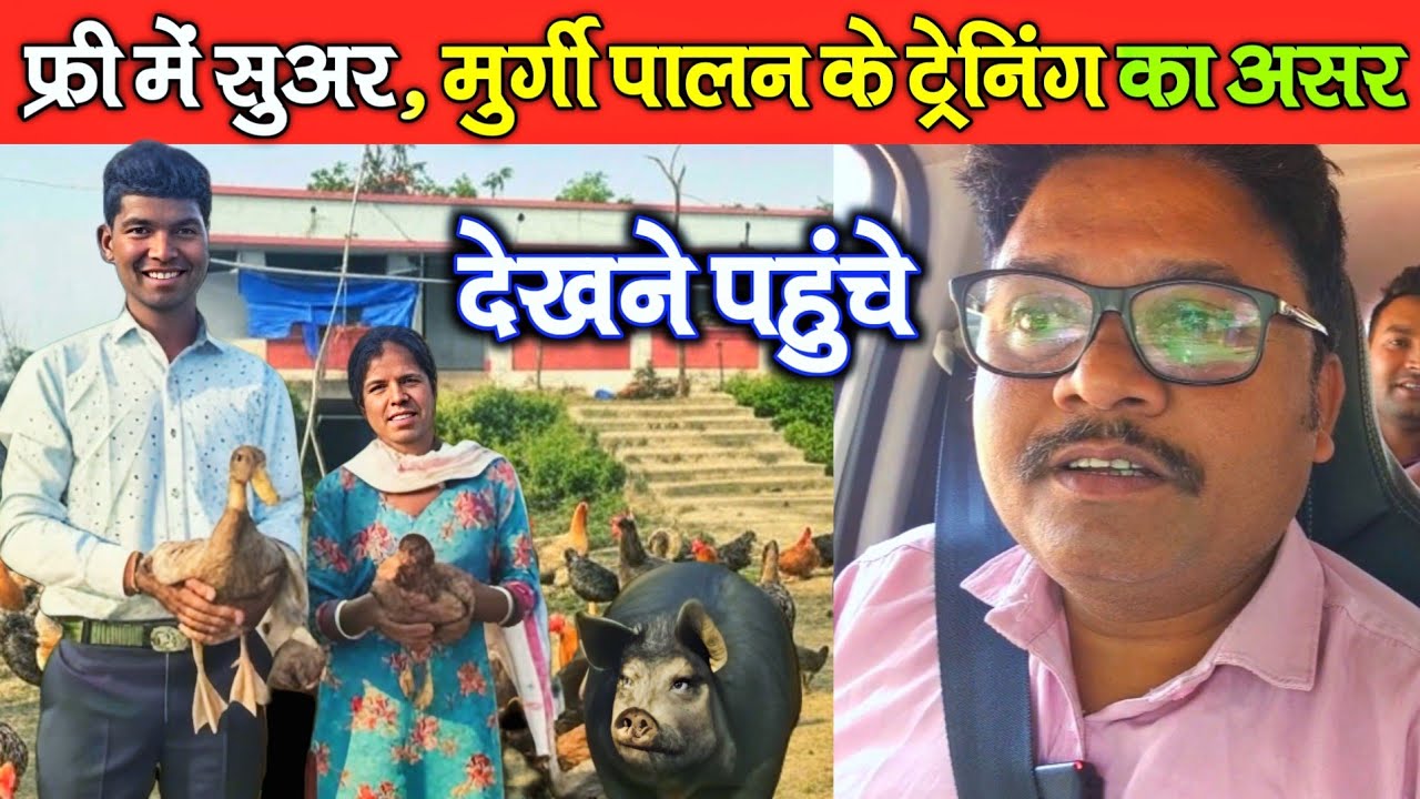 फ्री में सुअर ,मुर्गी पालन के ट्रेनिंग का असर देखने पहुंचे Gumla Jharkhand। PIG Farming Training