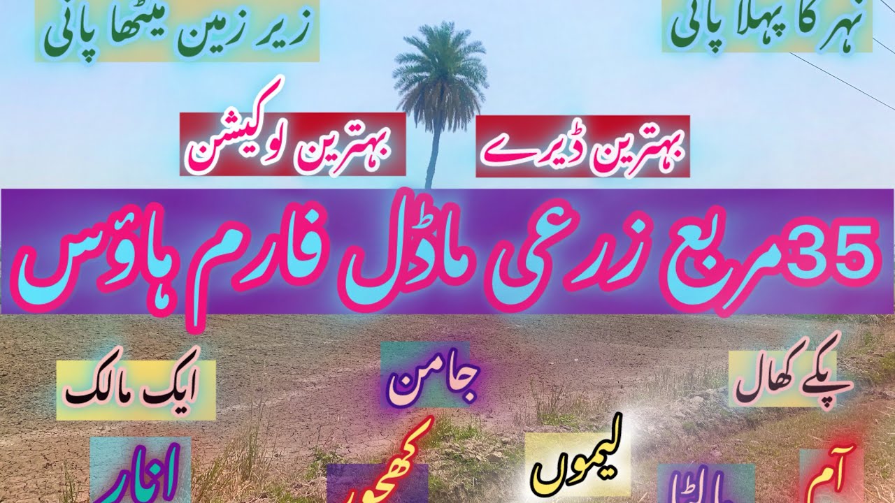 35مربع کا اعلی زرعی یونٹ و بہترین اعلی فارم ہاؤس ایک مالک کمپیوٹر ریکارڈ
