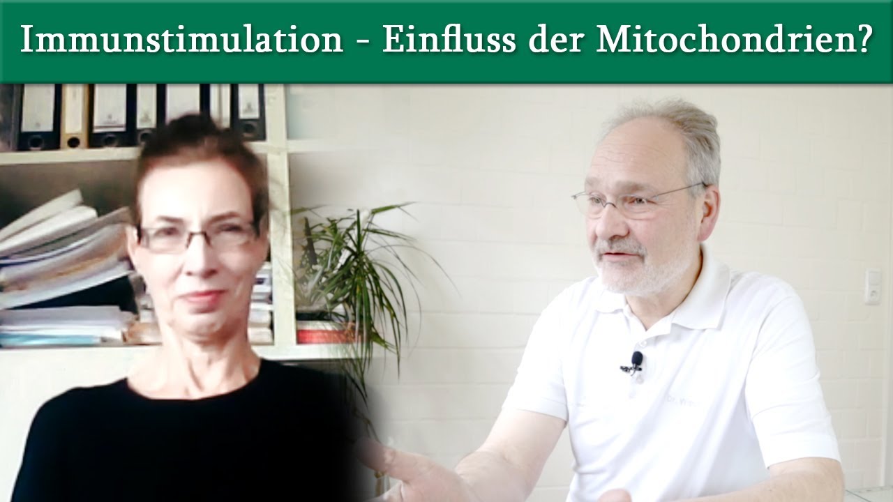 Immunstimulation - welchen Einfluss haben die Mitochondrien? Prof. Dr. König im Interview!