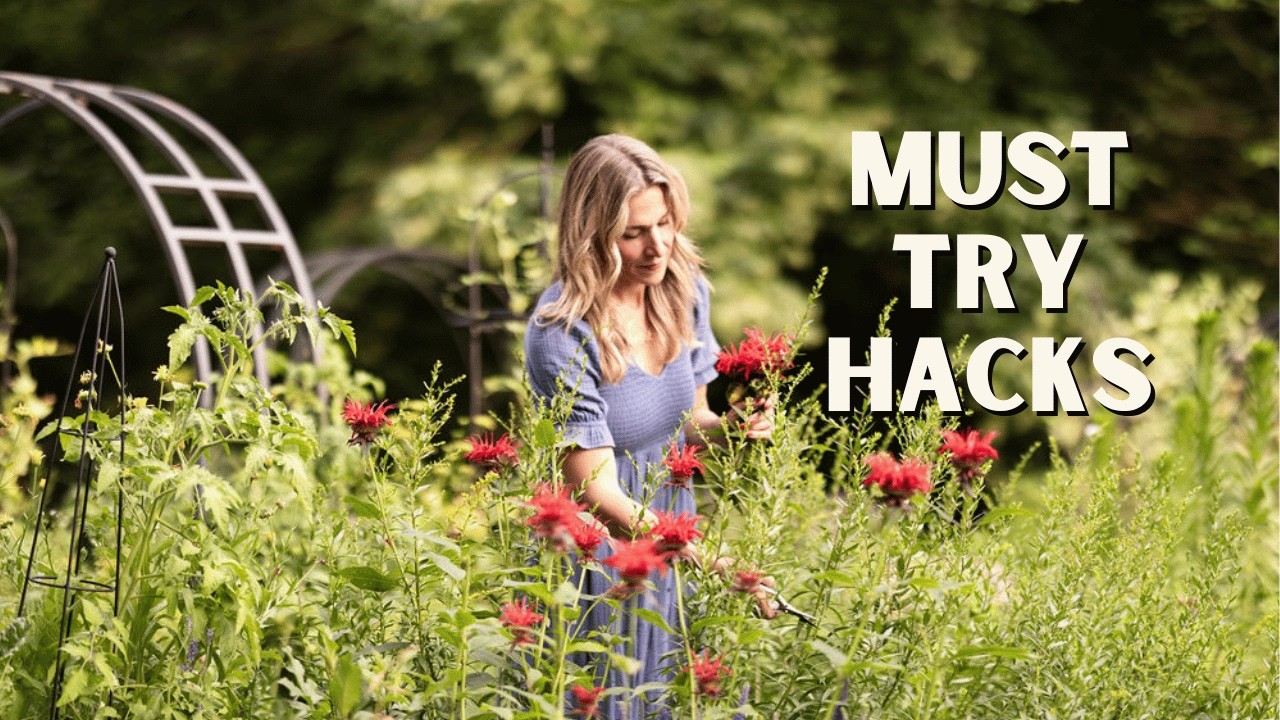 4 основных элемента садового дизайна для создания более волшебного сада