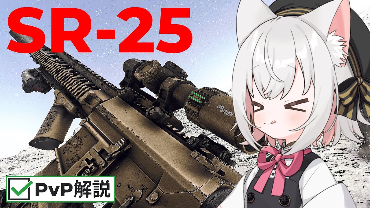 【タルコフ】#33 タンカラー染めSR-25がマジでかっこいい！！！！！　【VOICEVOX実況】