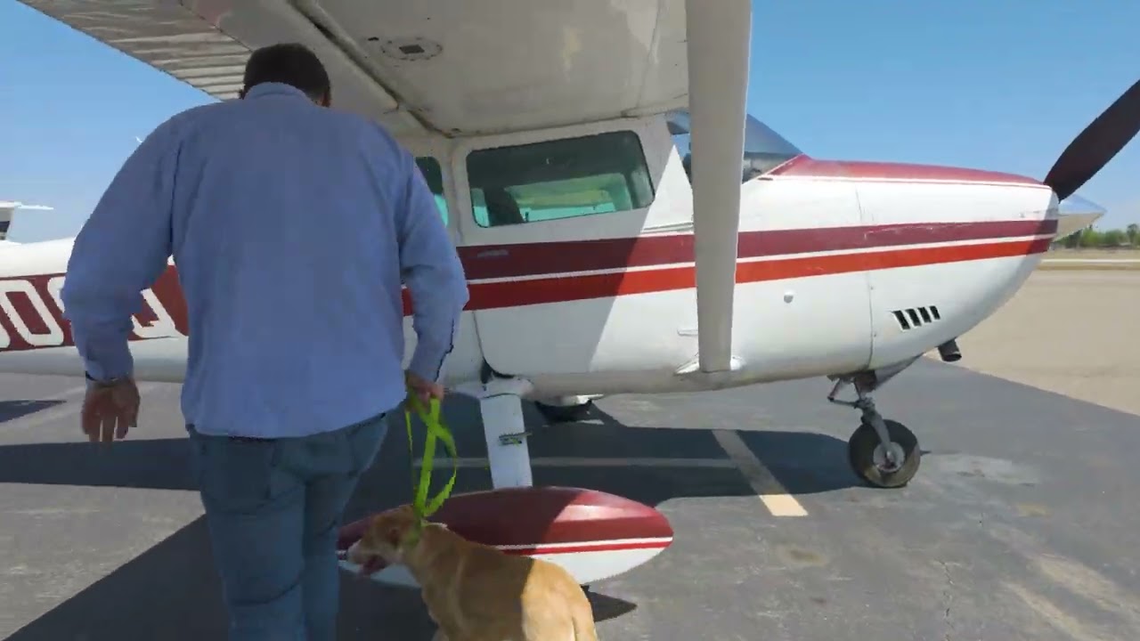 21 animal rescue flight