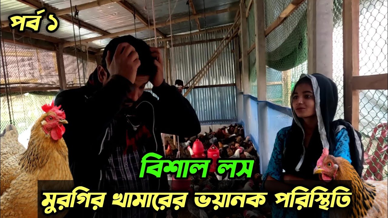 বিশাল লস মুরগির খামারের ভয়ানক পরিস্থিতি #shakilfarming #murgi
