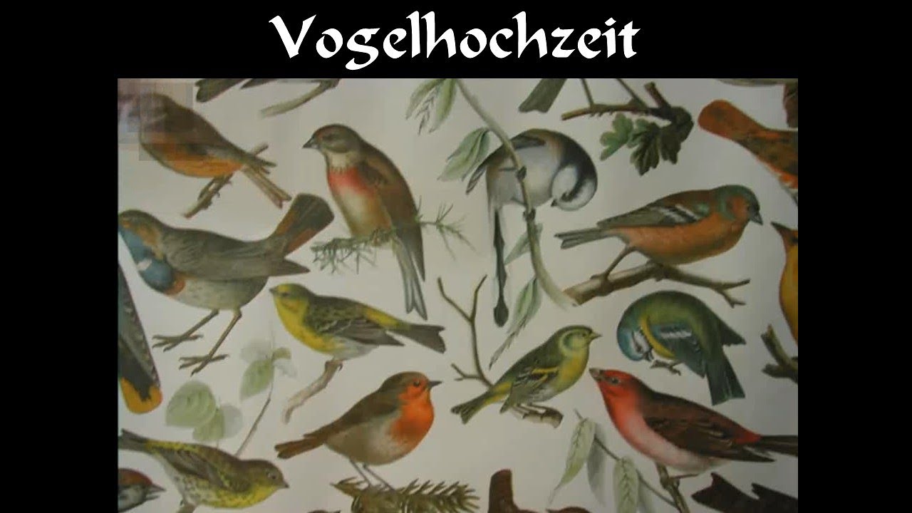 Vogelhochzeit -