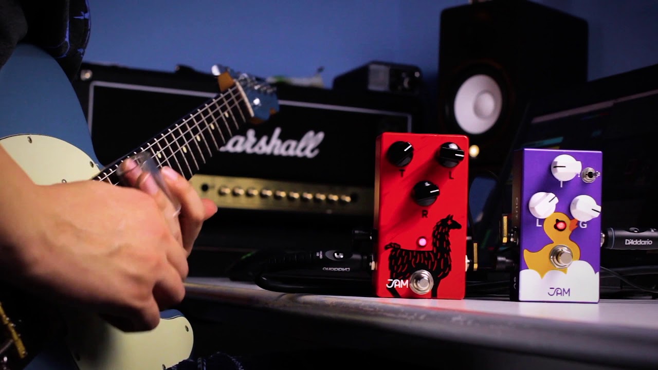 JAM pedals Delay Llama | 3 x knobs, 600ms, 2 x BBD chips