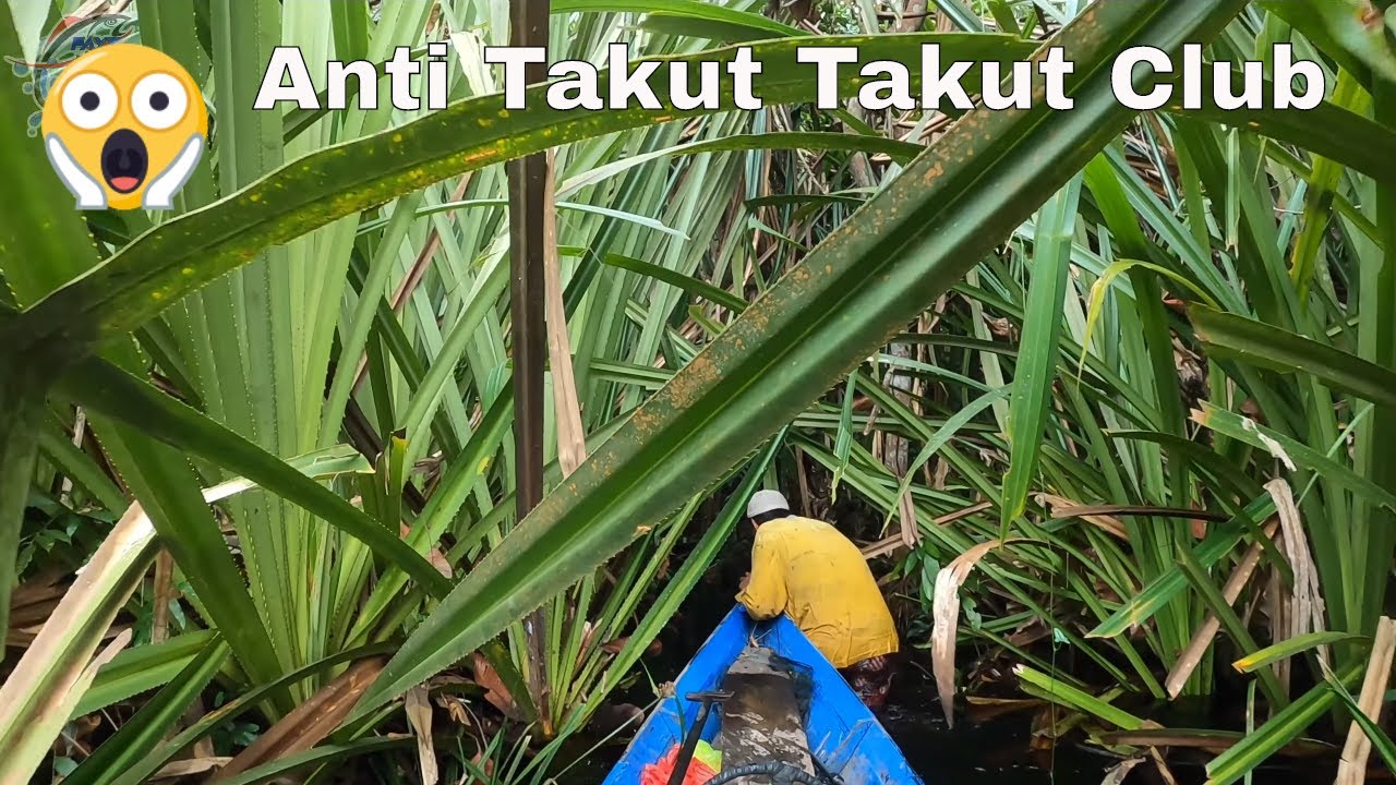 Bapak ini Punya Keberanian  Diatas Rata Rata Manusia Normal #238