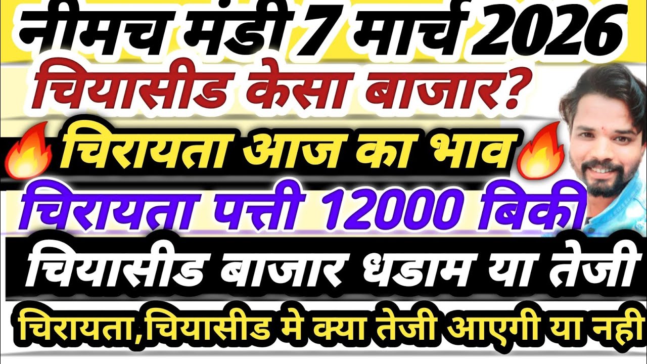 नीमच मंडी भाव। चिया भाव। चिया सीड का भाव। चिरायता का भाव। Neemuch Mandi bhav today chirayata bhav