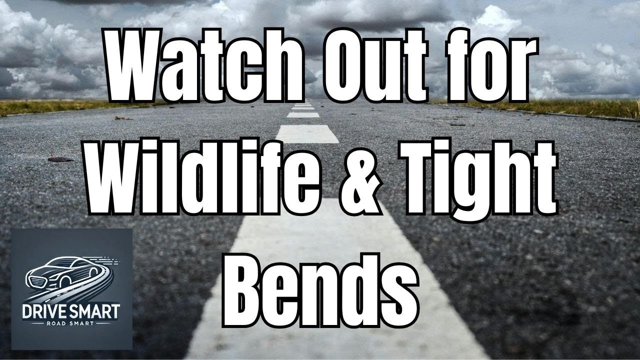 Rural Road Hazards & How to Handle Them