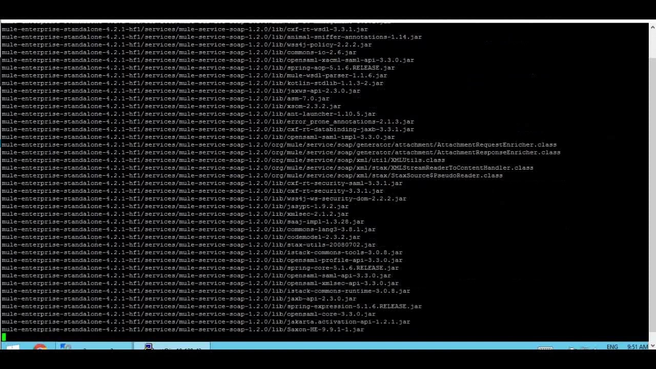 Mulesoft On-Premise Runtime Installation