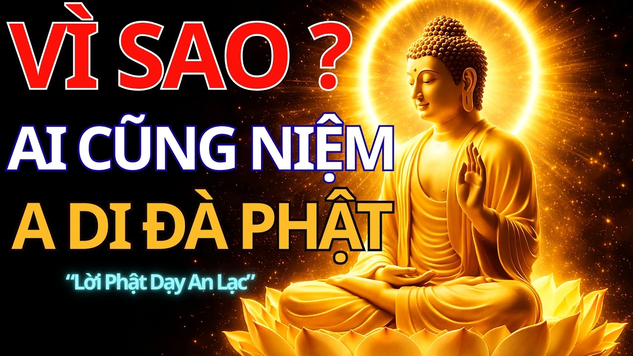 Vì Sao Ai Cũng Niệm A Di Đà Phật? Bí Mật Khiến Bạn Thức Tỉnh