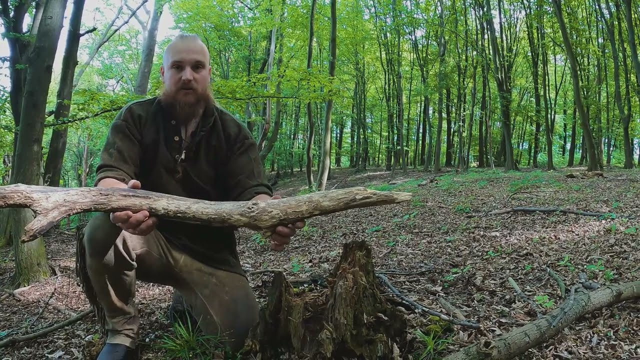 ZACHYTÁVAČ (PRÁCHNO) - ZTROUCHNIVĚLÉ DŘEVO