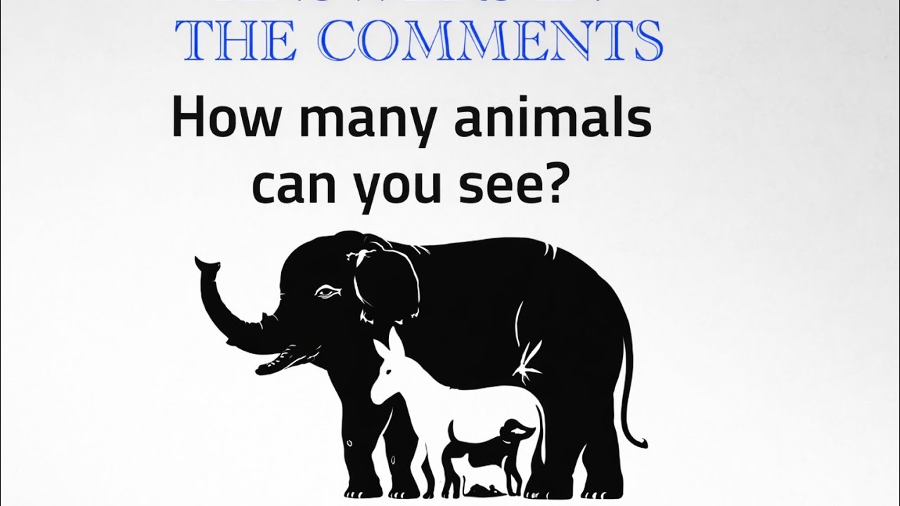 Brain Teaser.