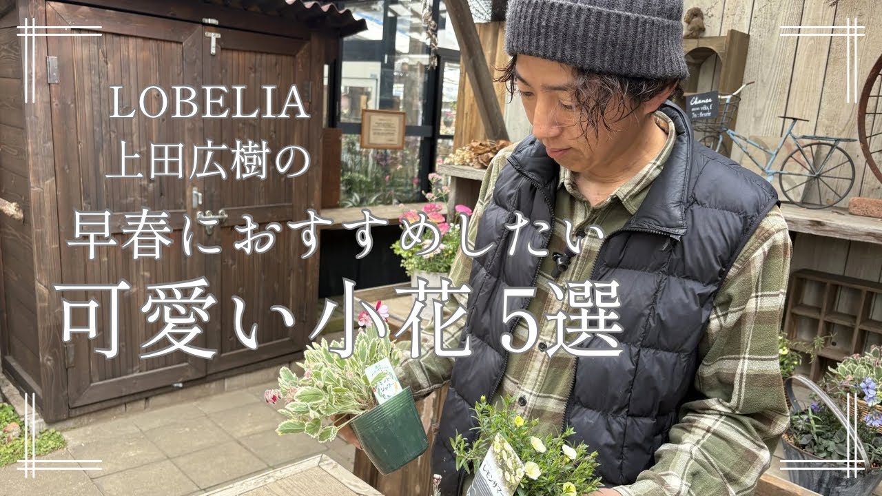 早春におすすめしたい可愛い小花5選