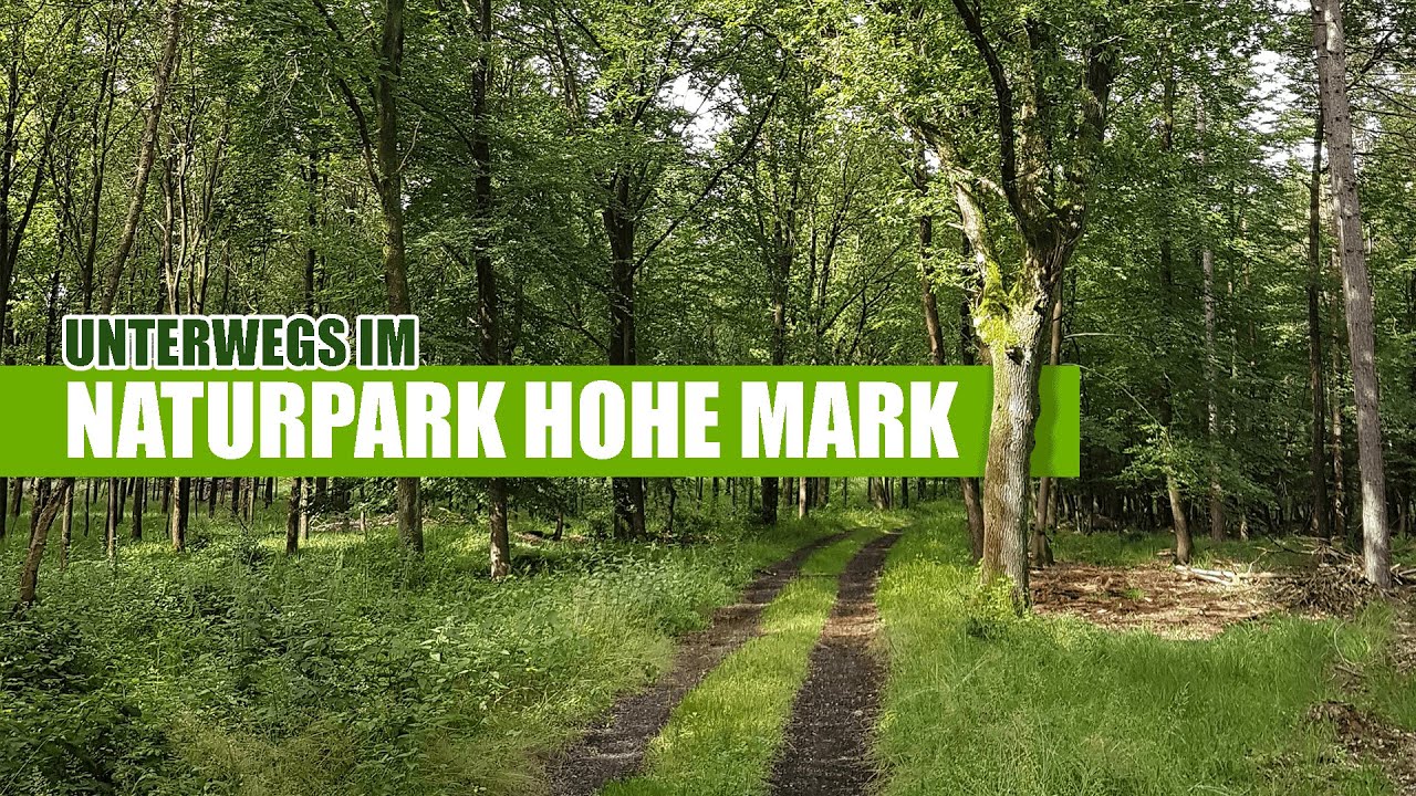 Naturpark Hohe Mark | Kirchheller Heide