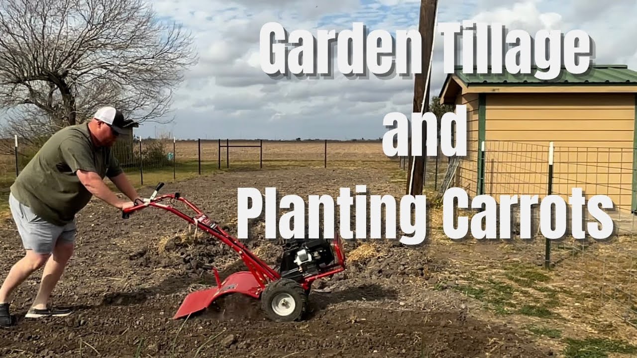Tilling up the garden and planting carrots!